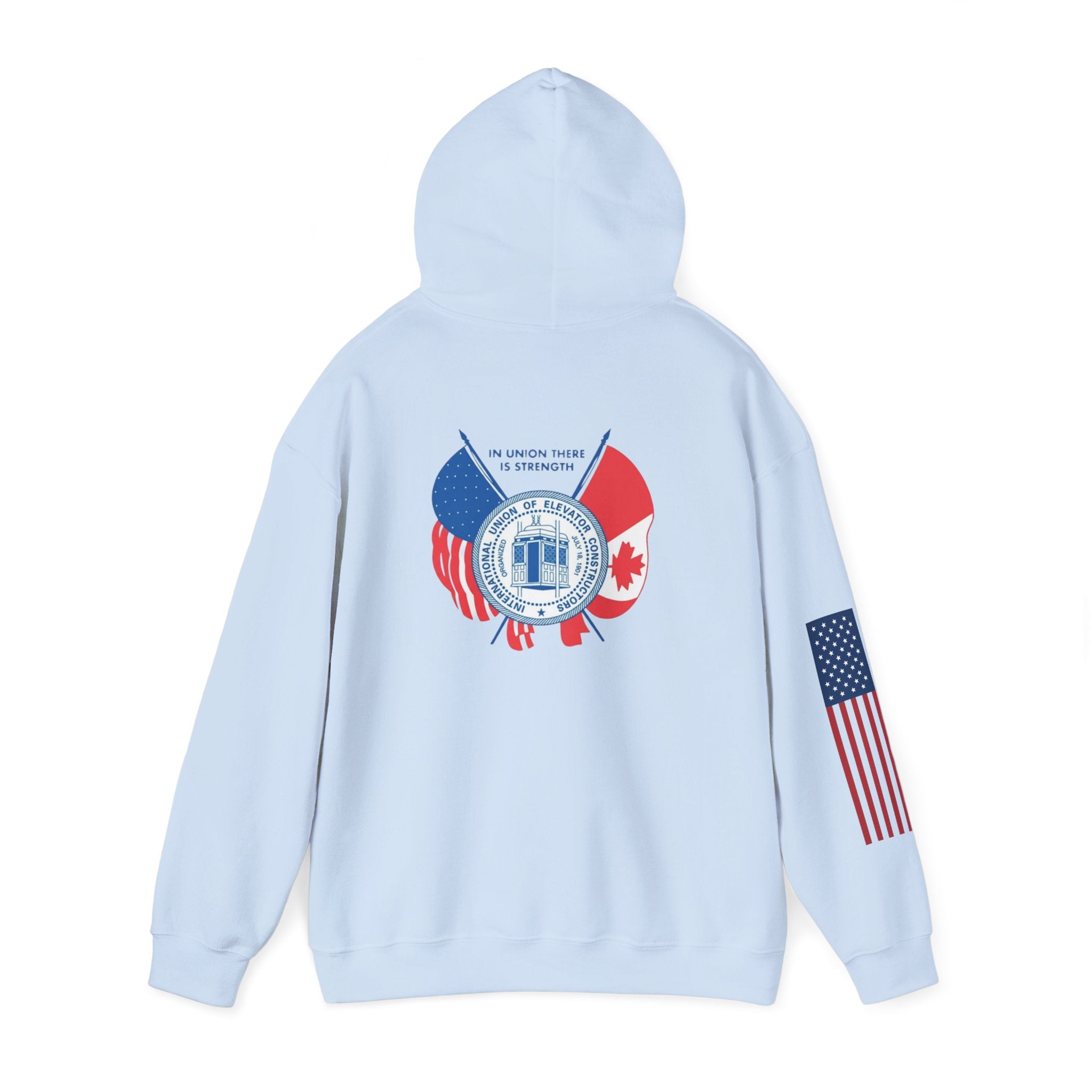 Patriotic International Unisex Hoodie