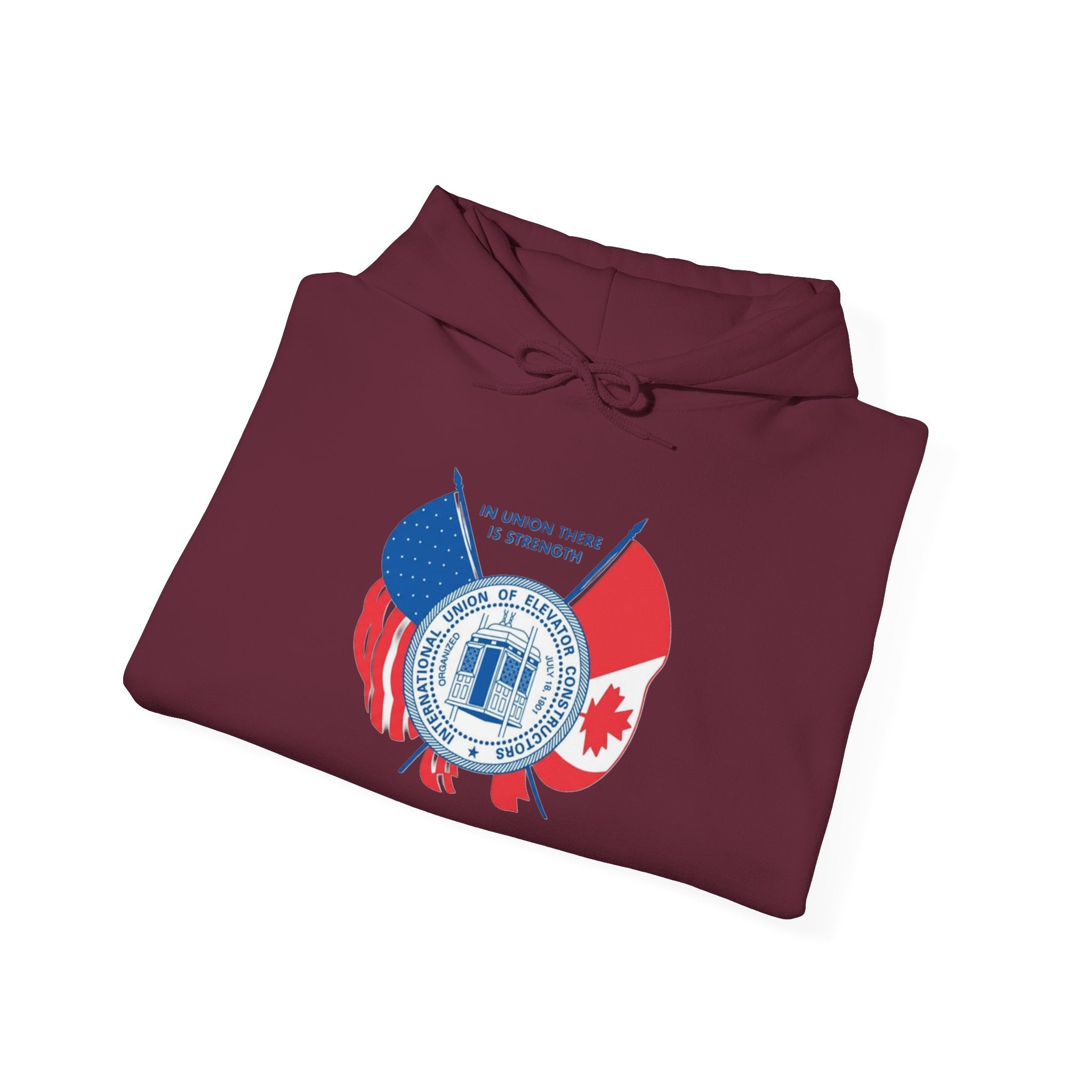 Patriotic International Unisex Hoodie