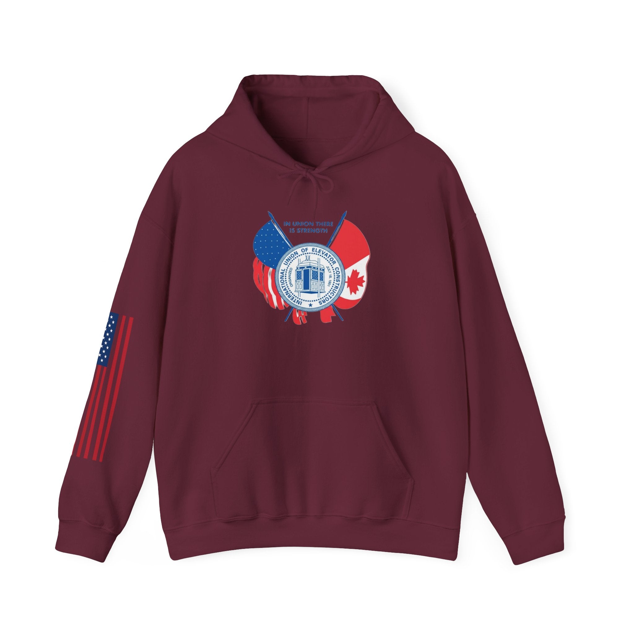 Patriotic International Unisex Hoodie