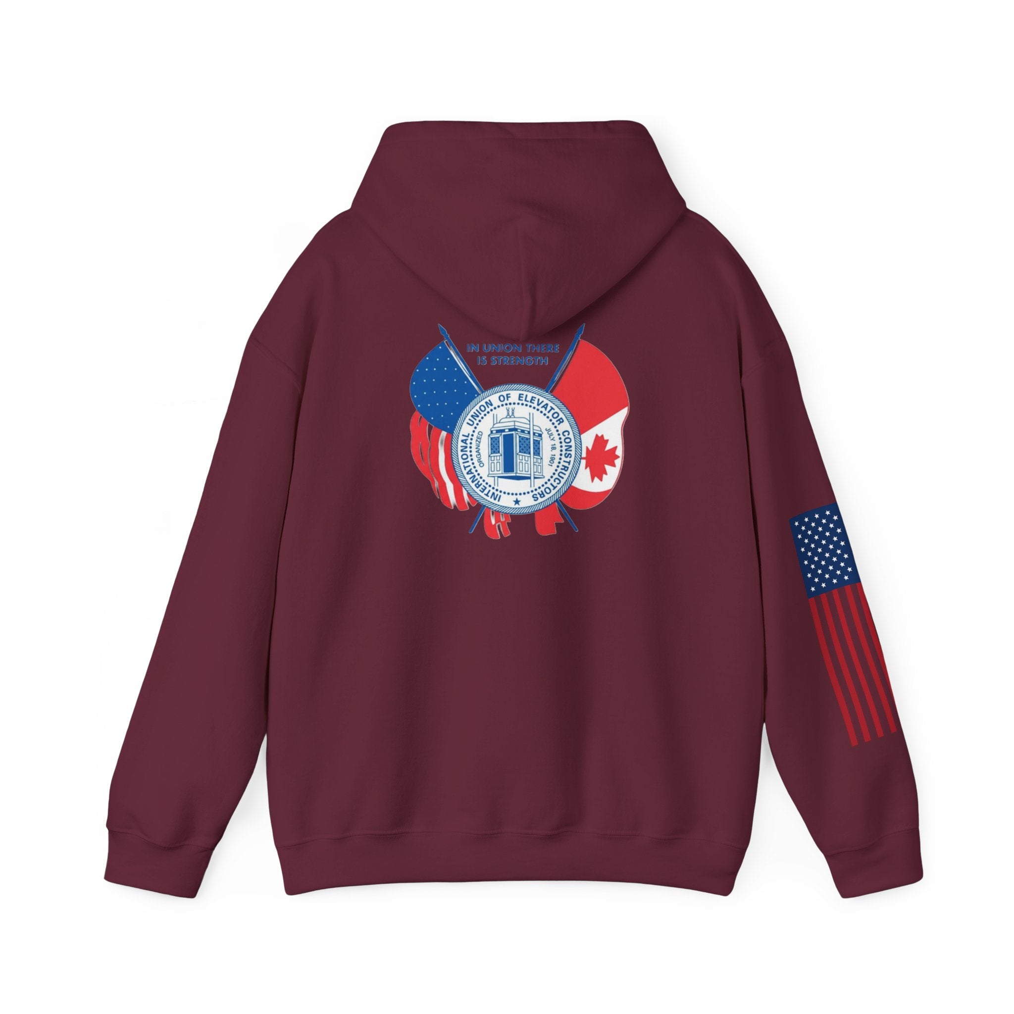 Patriotic International Unisex Hoodie