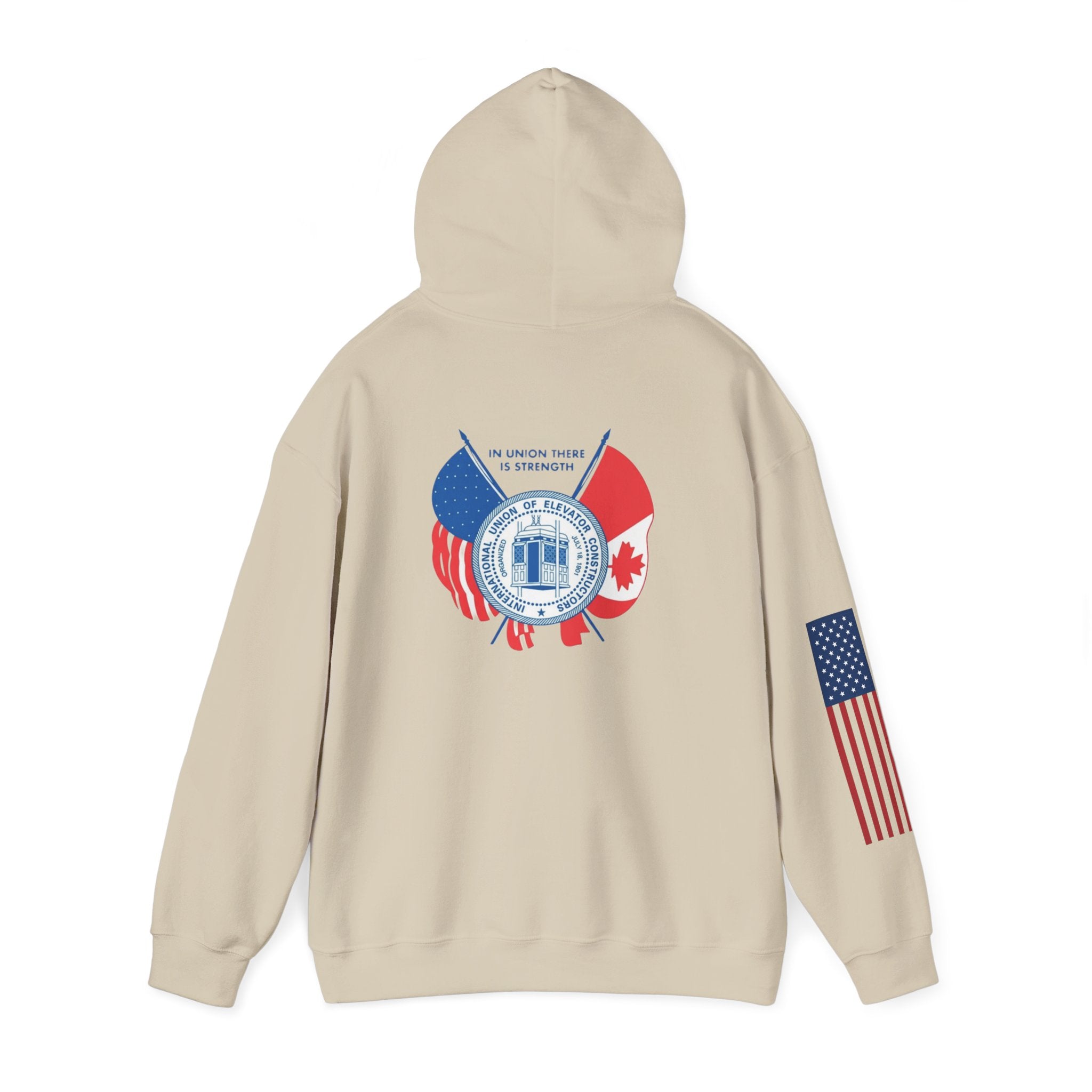 Patriotic International Unisex Hoodie