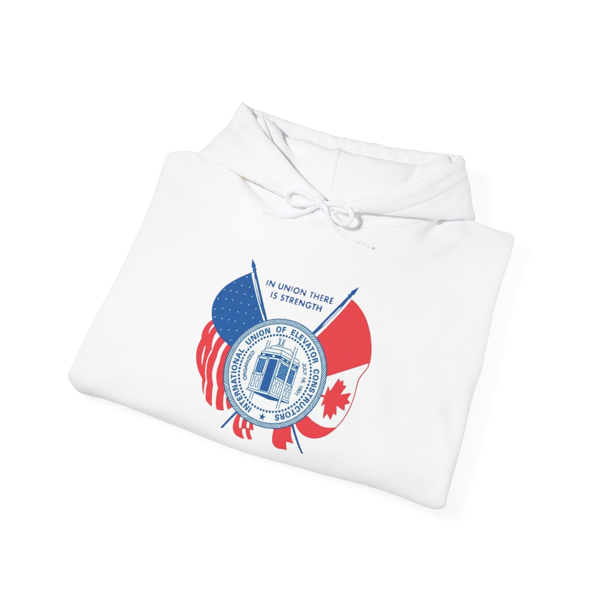 Patriotic International Unisex Hoodie