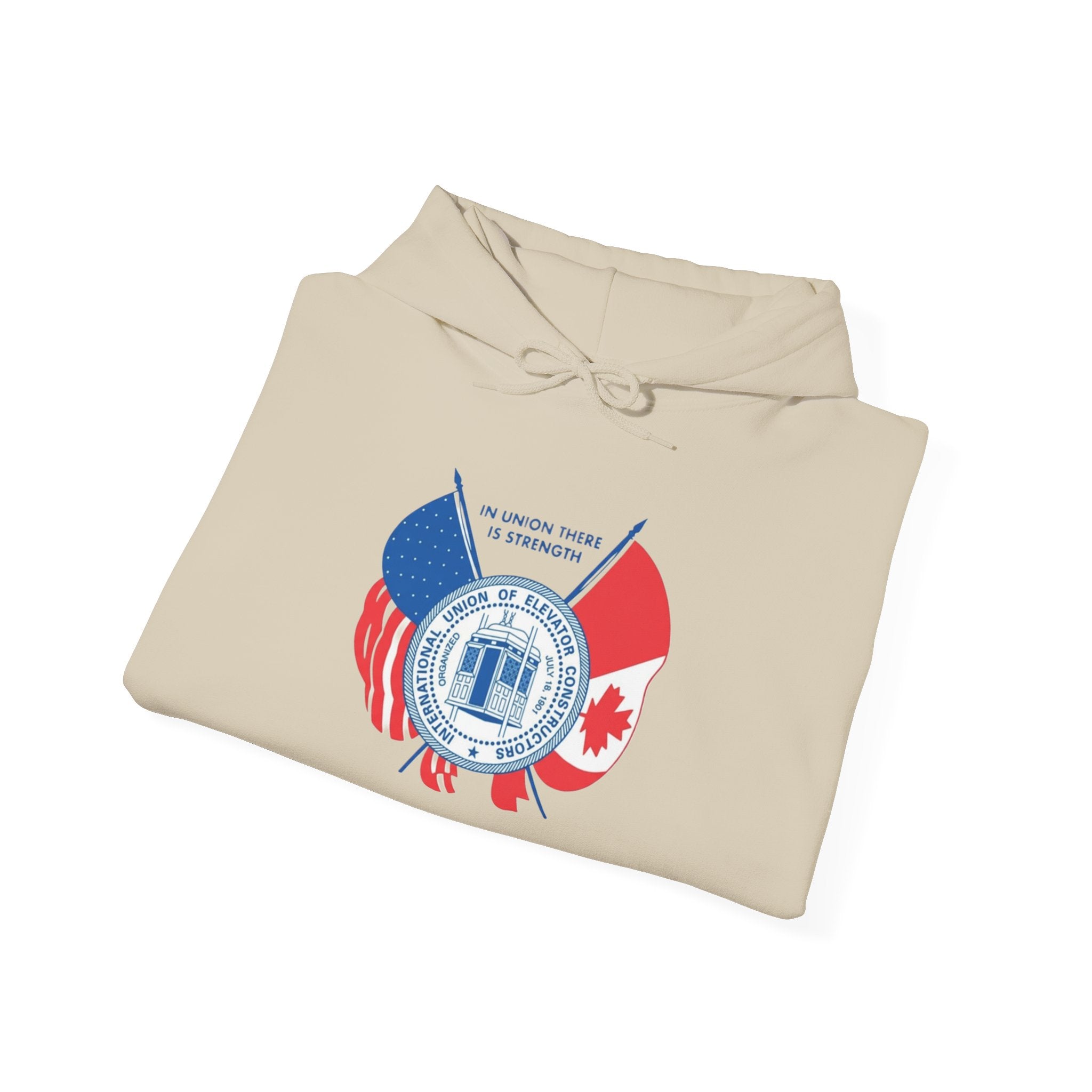 Patriotic International Unisex Hoodie