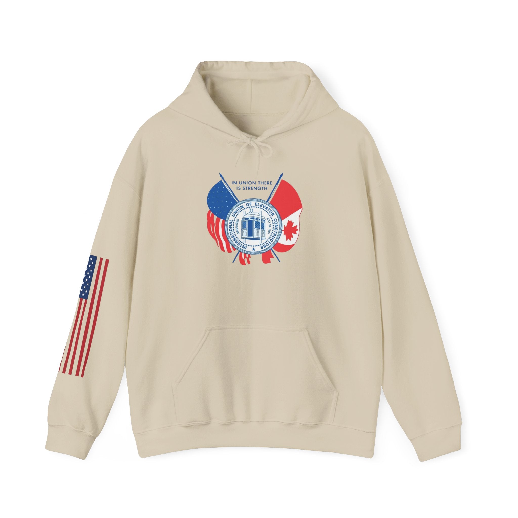 Patriotic International Unisex Hoodie