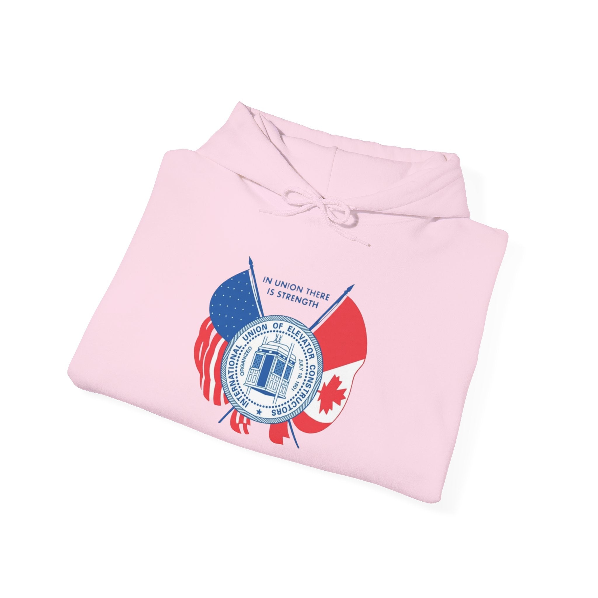 Patriotic International Unisex Hoodie
