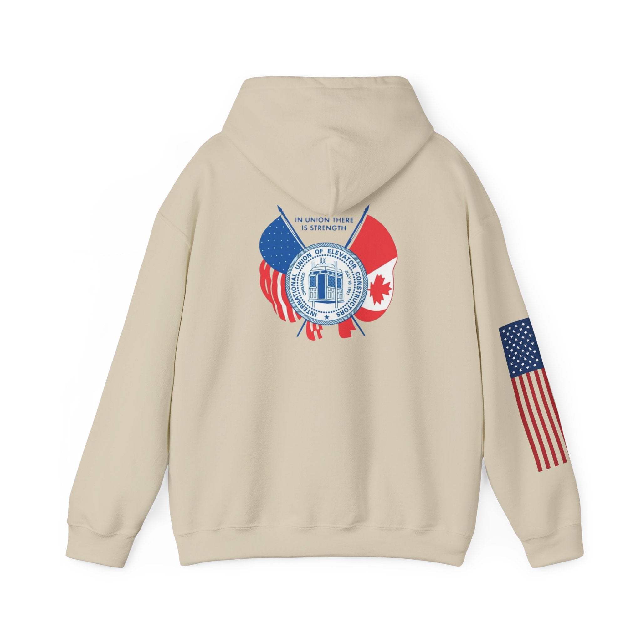 Patriotic International Unisex Hoodie