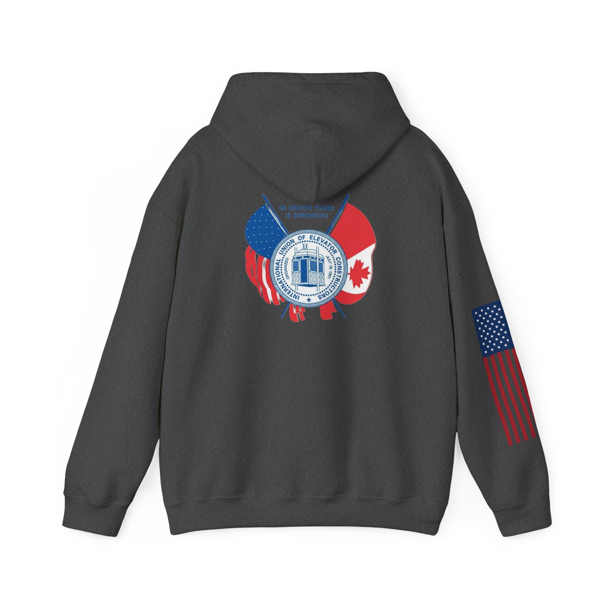 Patriotic International Unisex Hoodie
