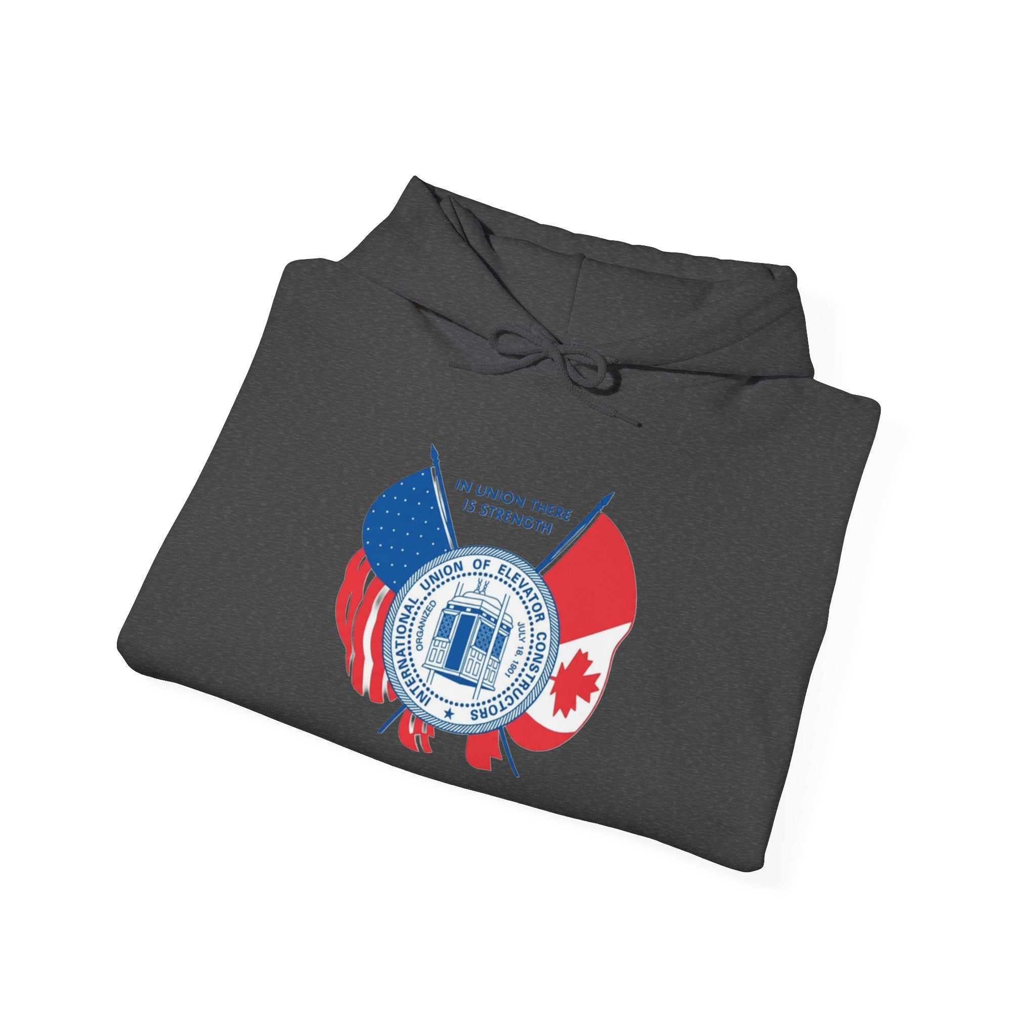 Patriotic International Unisex Hoodie